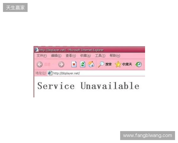 BB官宣FL4MUS租借期已结束，但会继续留在Major参赛名单中